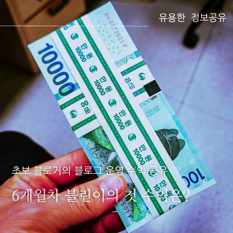  네이버 블로그 입문 6개월차 블린이의 첫 수익금 공개, 나도 당당한 수익화 블로거