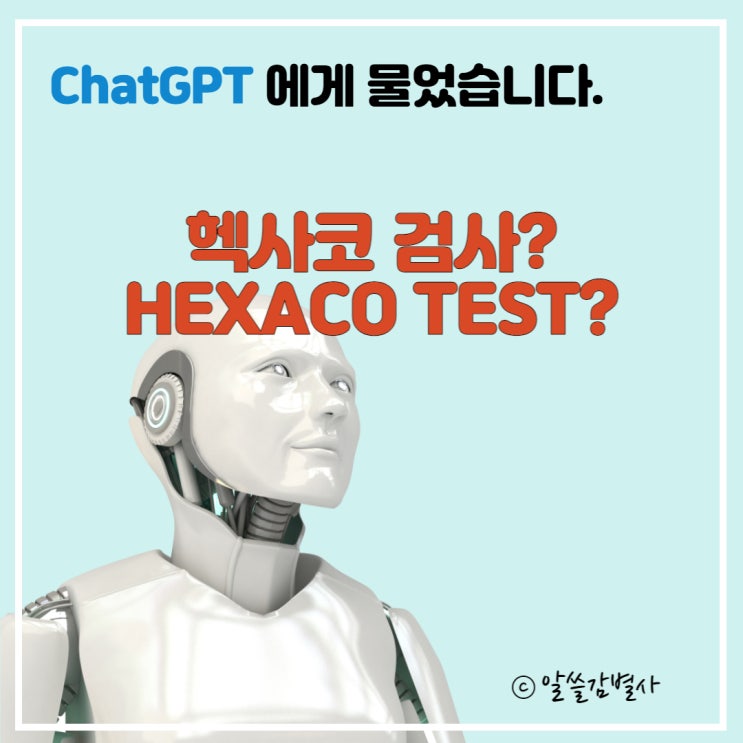  '쳇GPT'에게 '헥사코 테스트'에 대해 설명해달라고 요청해보았습니다.(+링크 포함, 놀람 주의)