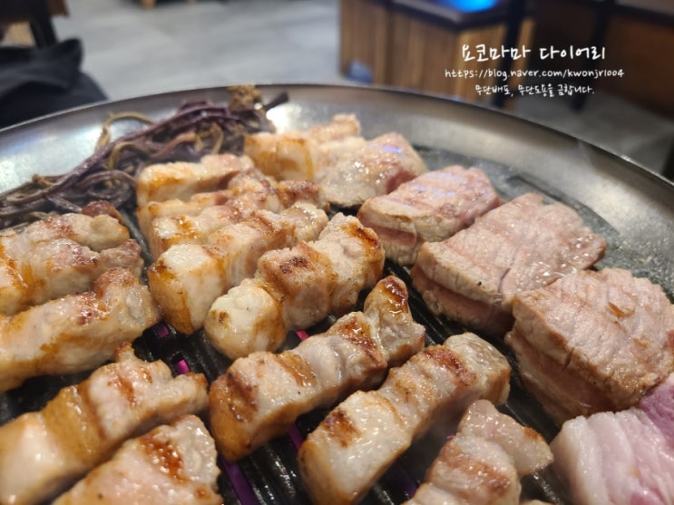  도룡동 맛집 고반식당 내돈내산