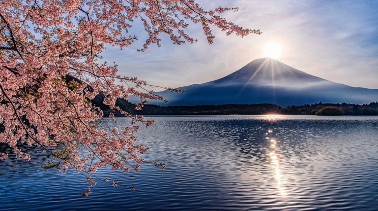 2023년 우리나라, 일본 벚꽃 개화 시기 날짜 일본 벚꽃 축제 일정 일본 벚꽃 명소