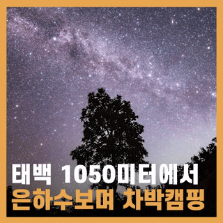  국내 1박2일 여행지 추천 태백 가볼만한 곳 바람의 언덕 귀네미 마을