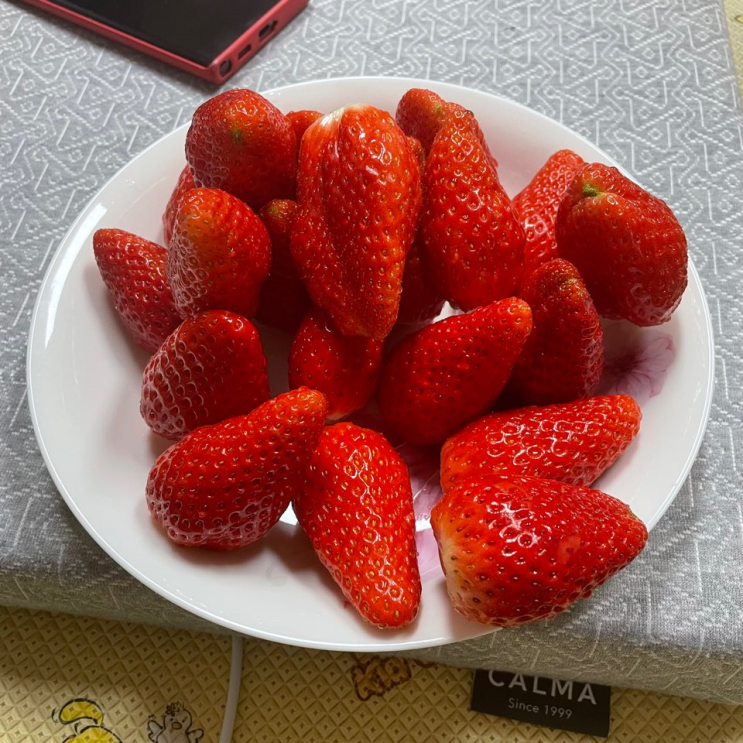  오늘의 일기 15. 심심한 토요일