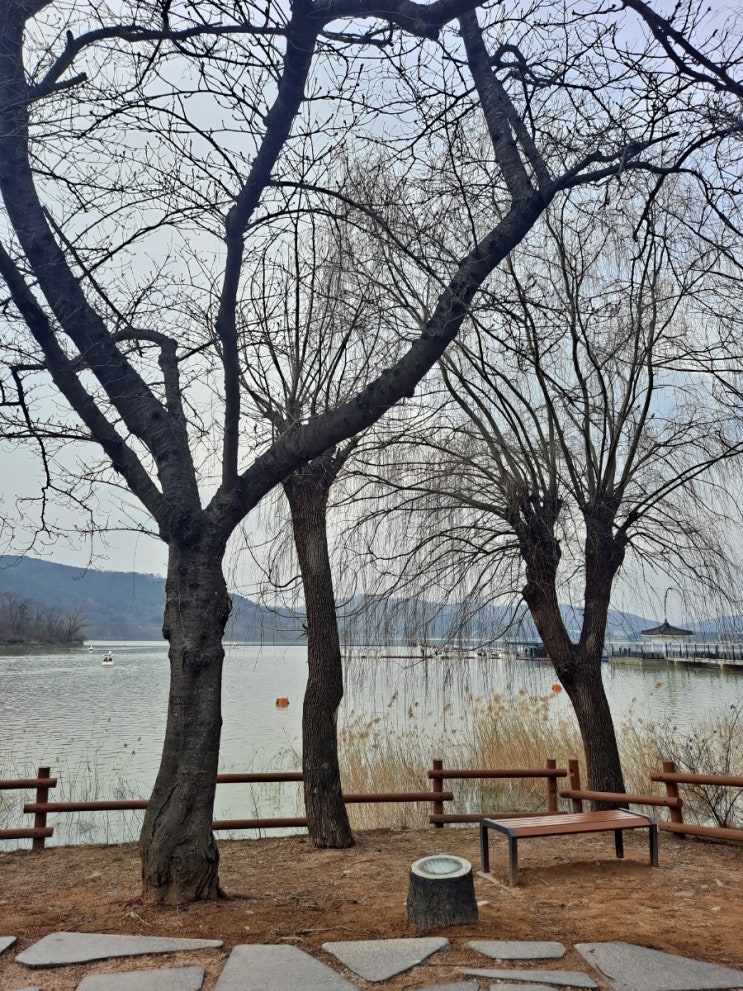  아직도 청년이신가요? 42일차 운동 일지