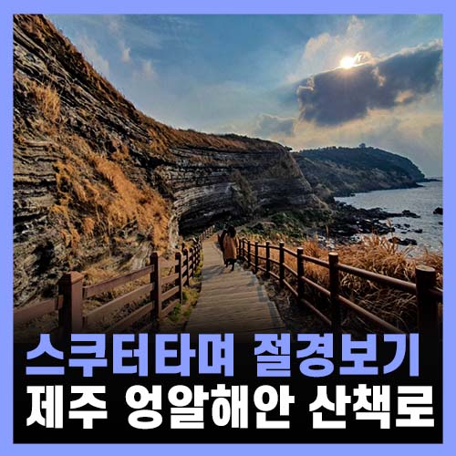  제주 가볼만한 곳 제주올레길 엉알해안 노을해안 1014 카페