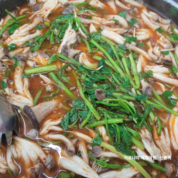  [신촌] 버섯 얼큰 소고기 샤브 <김광석 신촌칼국수> 푸짐하고 얼큰한 맛. 내돈내산 ft. 정홍일 콘서트