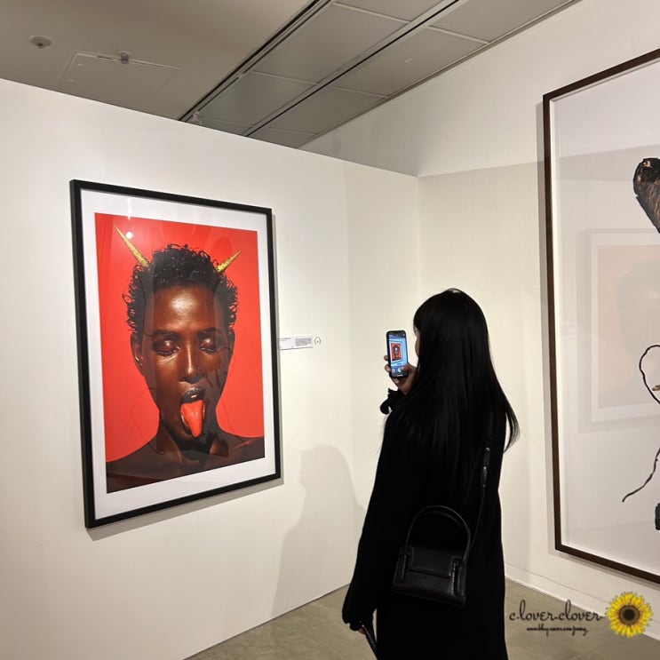  [서울전시회] 알버트왓슨 사진전 @예술의전당 한가람미술관 솔직후기 