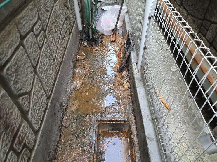  외부 배관 막힘 집수정 맨홀에서 막혀서 물이 넘치고 역류 뚫기