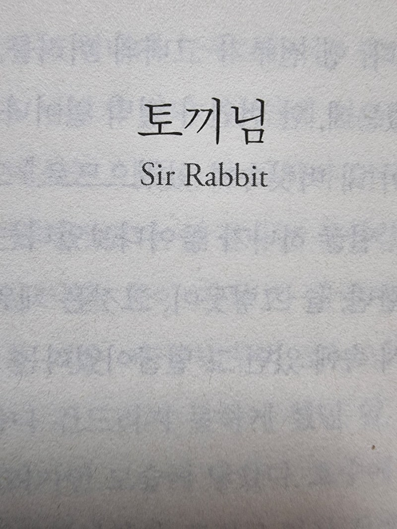토끼님 (Sir Rabbit) 그는 먼저 나무의 한쪽을 돌아보고 다시 다른 쪽을 돌아보았다. 말이라곤 한 마디도 없이! 