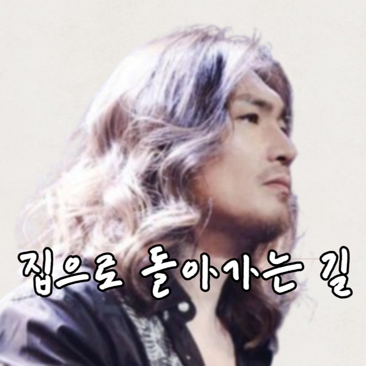  임재범 콘서트 서울 후기 (집으로 돌아가는 길)
