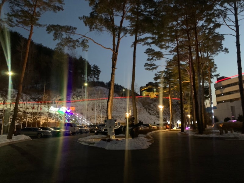 사진 8