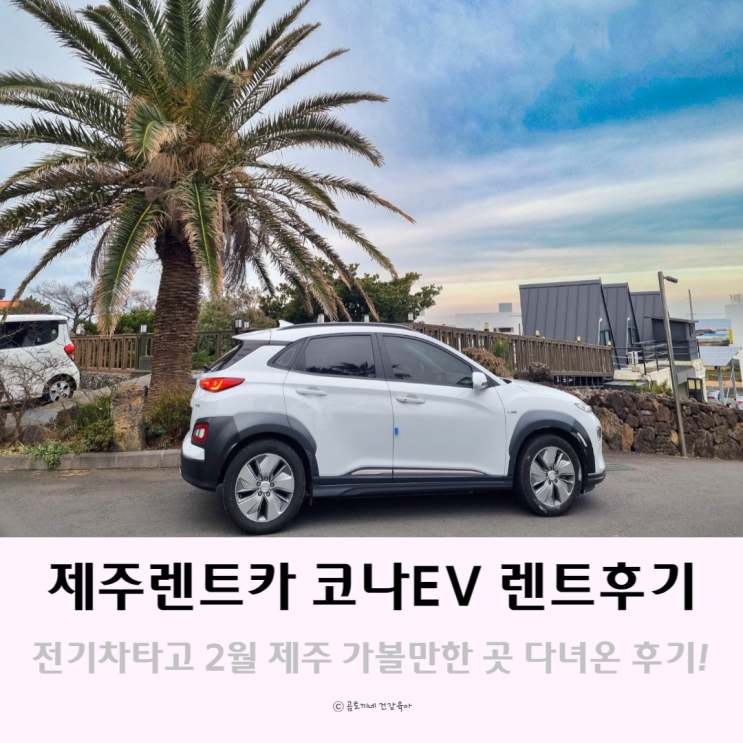 제주도렌트카 자차 코나 전기차로 2월 제주가볼만한곳 여행기 제주도렌트카 자차 코나 전기차로 2월 제주가볼만한곳 여행기