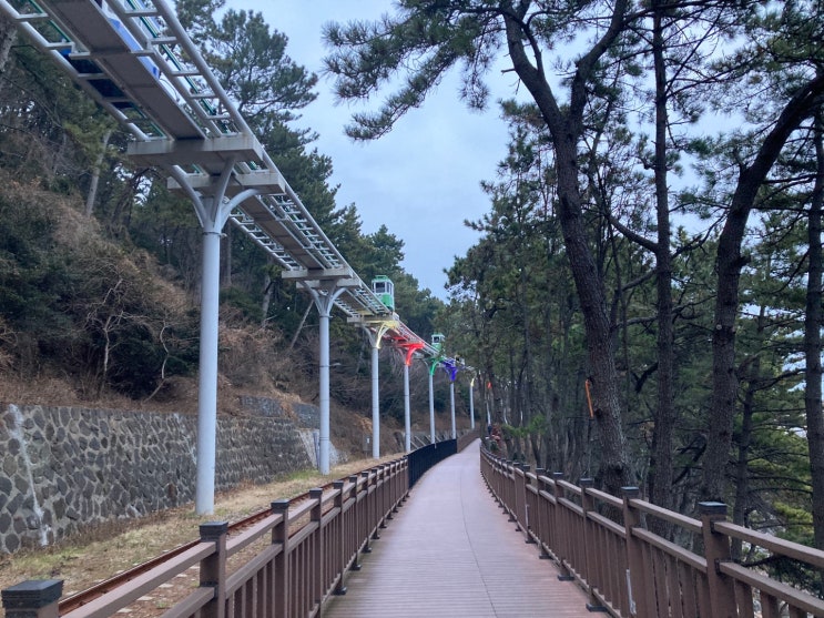  해운대 블루라인파크,미포철길 왕복 산책 (미포->청사포->다릿돌전망대->구덕포->송정)