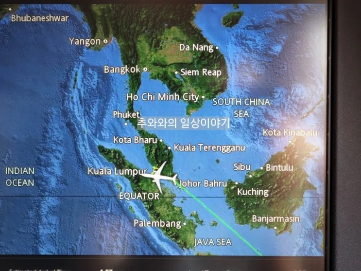  [말레이시아 항공/발리-쿠알라룸푸르️] 비즈니스 후기 MH714 DPS-KUL A330-200
