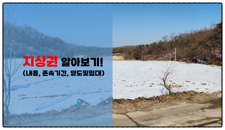  토지 지상권 설정 의의, 성질, 신청인, 존속기간, 기재 사항 및 효력 설명서!(부동산 물권)-시리즈 1편