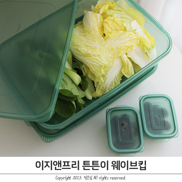 이지앤프리 웨이브킵 2인가구 냉장고정리용기 이지앤프리 웨이브킵 2인가구 냉장고정리용기