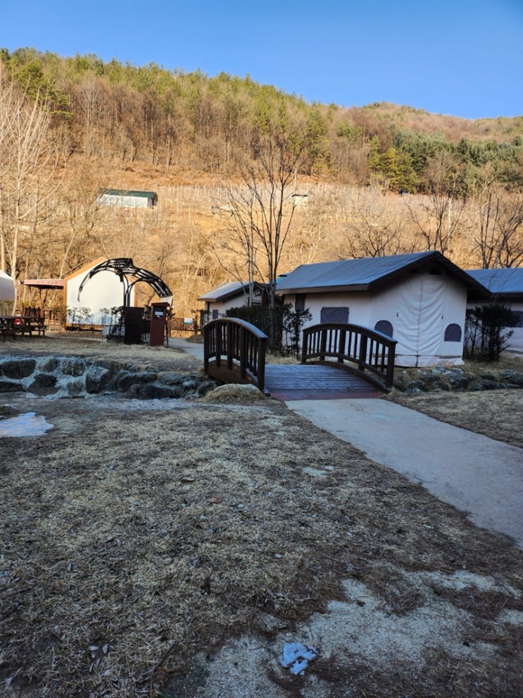  삼가 야영장 솔막