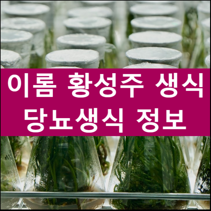 이롬 황성주 생식 원료의 효능과 당뇨생식