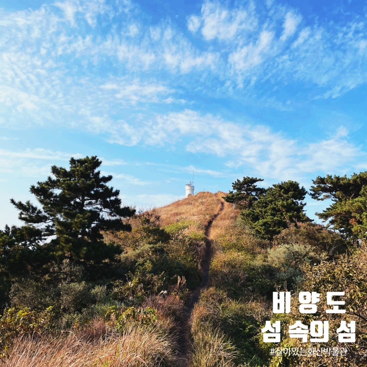  제주 한림항에서 비양도 가는 법 (배 시간, 요금)