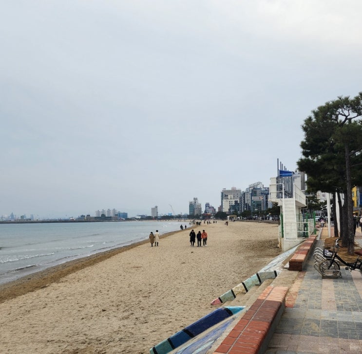 기사포함렌트카로 천안에서포항까지안전하게모셔드립니다-기사렌트카(서울,분당,판교,수원,용인,인천공항 외국인픽업) 기사포함렌트카로 천안에서포항까지안전하게모셔드립니다-기사렌트카(서울,분당,판교,수원,용인,인천공항 외국인픽업)