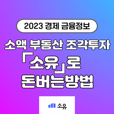  소액으로 하는 부동산 조각투자 소유로 돈버는방법