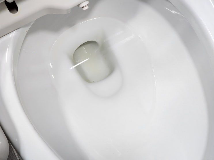 오염된 변기 속을 배수구 크리너로 손대지 않고 깨끗하게 청소하기 오염된 변기 속을 배수구 크리너로 손대지 않고 깨끗하게 청소하기
