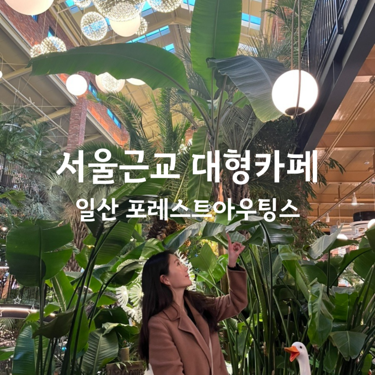  일산 포레스트아우팅스 - 일산대형카페, 서울근교 대형카페 추천