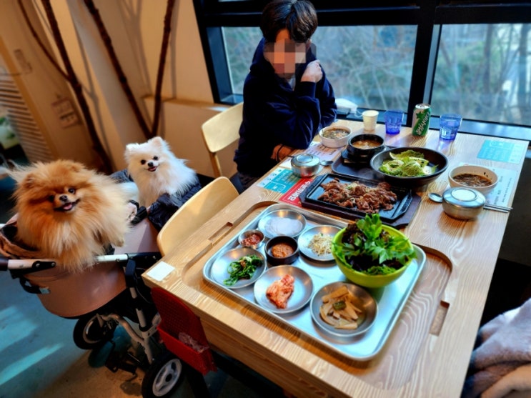  하남시청맛집 검단산맛집 가성비 좋고 분위기 좋은 하남애견동반식당 착한쌈밥