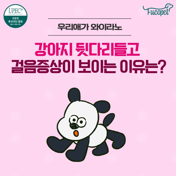  강아지 뒷다리 들고 걷는 이유