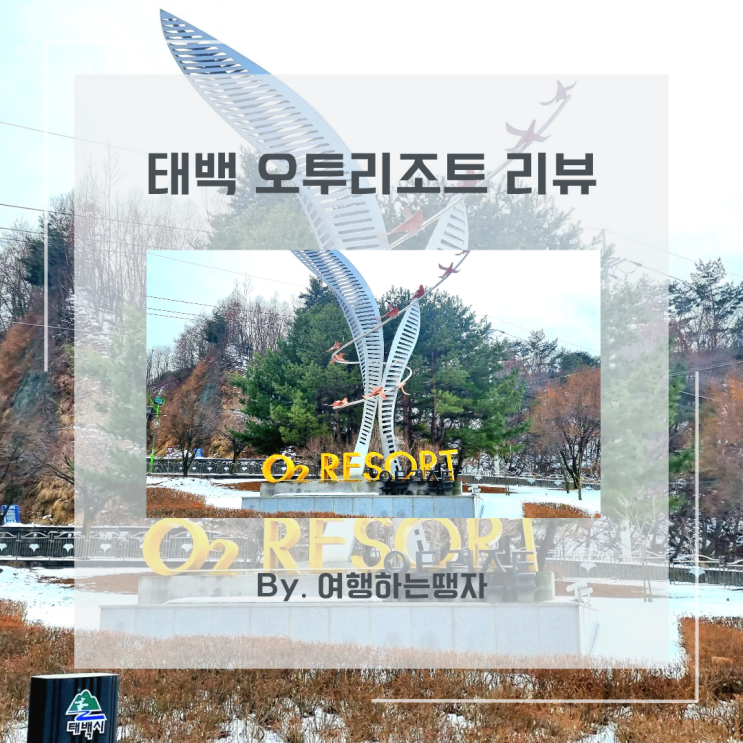  강원도 태백 오투리조트 스키장 가성비 숙소 골드 콘도 숙박 맛집 총정리