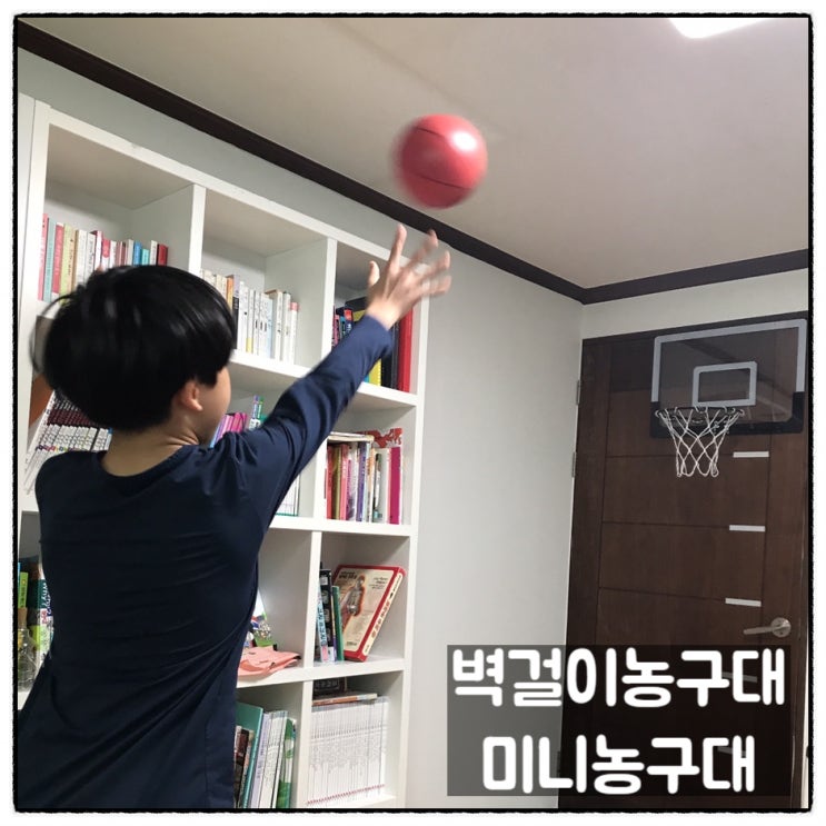  슬램덩크 관람 후 벽걸이농구대 구매 미니농구대 미니 농구골대 리뷰