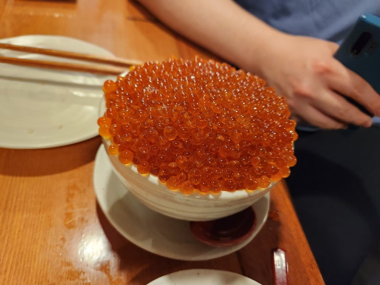  일본 삿포로 하치쿄 후기