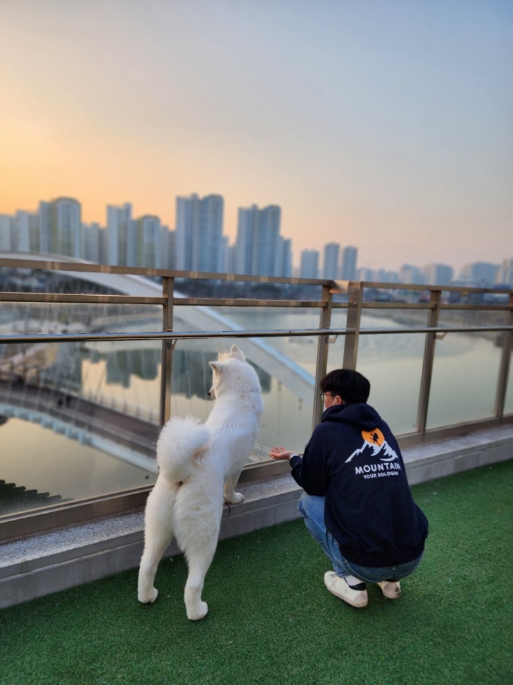 하남애견카페 미사호수공원 뷰가 예쁘고, 테라스가 있어 놀기 좋은 도리스 애견카페