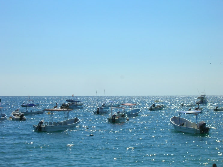  멕시코 숨겨진 해변 푸에르토 에스콘디도 Puerto escondido