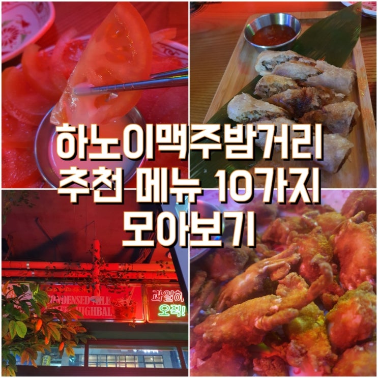  [세종술집]하노이맥주밤거리 안주메뉴 추천 BEST 10가지 모아보기 (+3개)