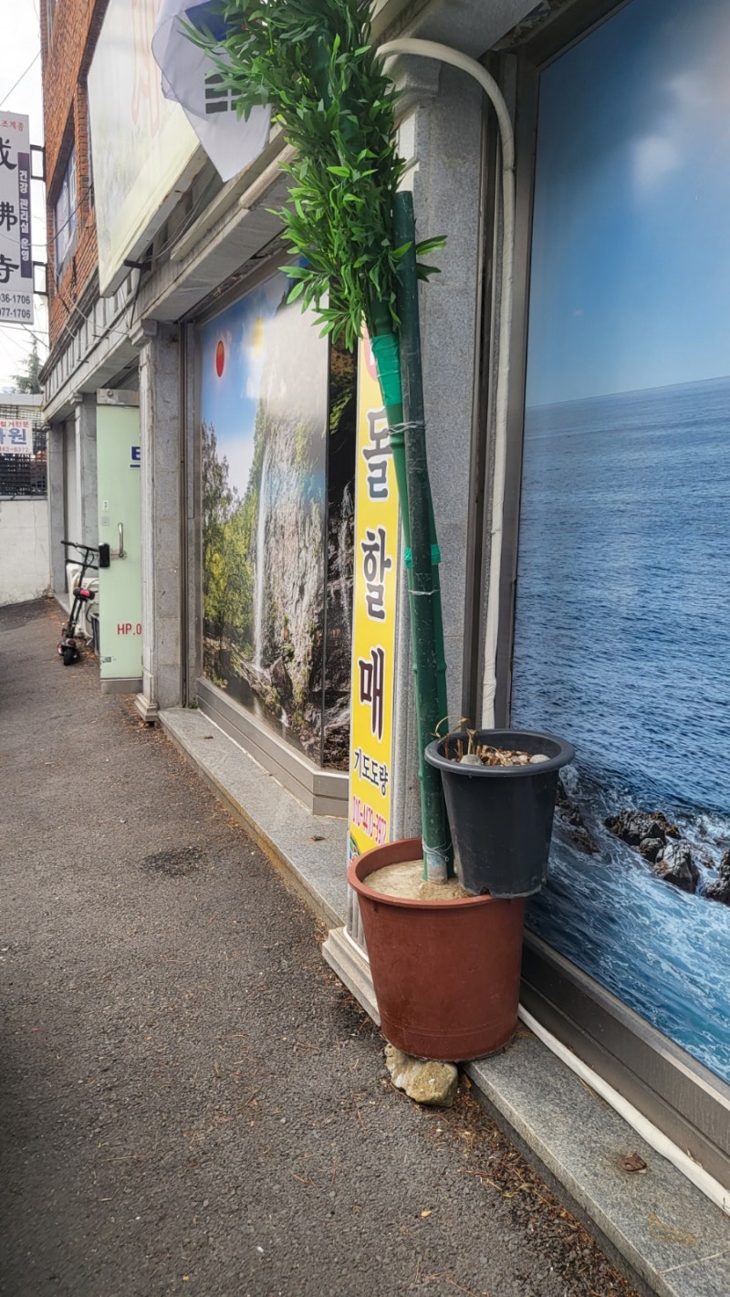 2023년 사주 김민준 철학관+김해 신점 돌할매 후기