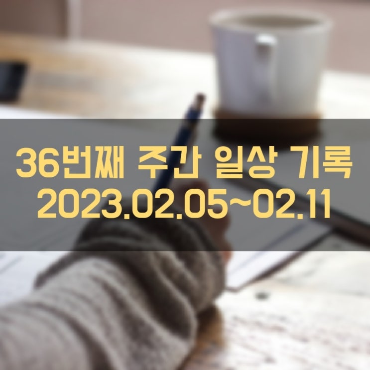 36. 주간 일상 기록 (2023년 2월 5일 ~ 2월 11일)