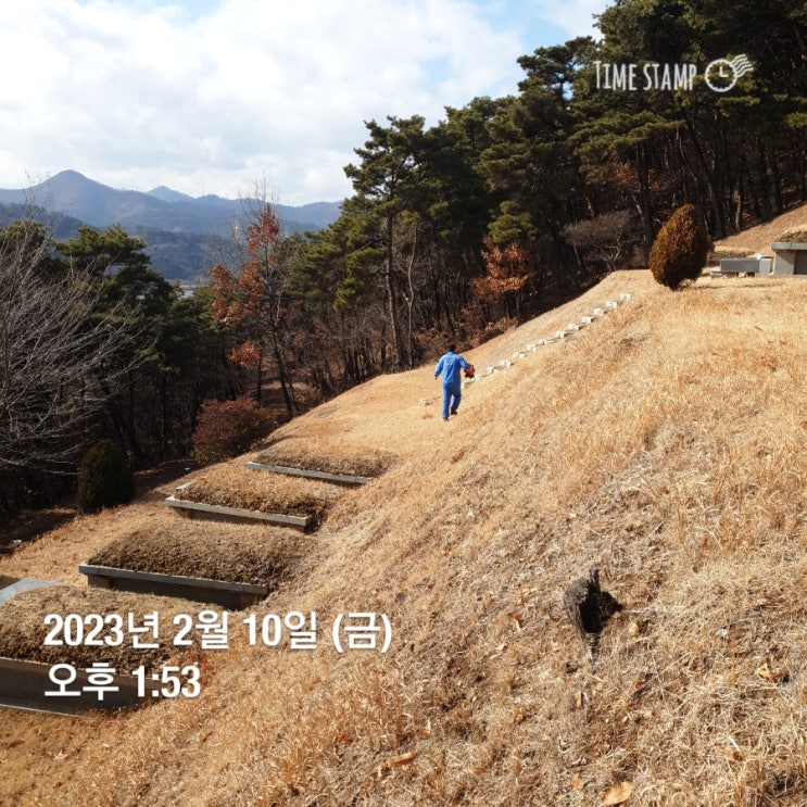 잔디 잡초관리 발아억제제 이렇게 뿌려줍니다