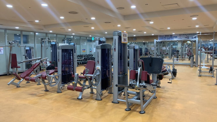  [영등포] 헬스장 일일 입장 후기, 영등포제2스포츠센터
