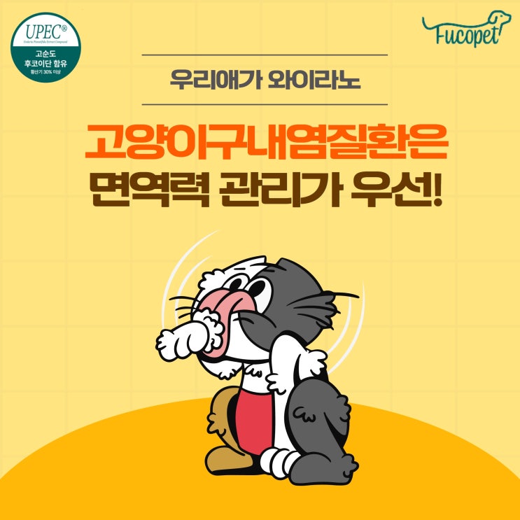  고양이 구내염 초기증상과 영양제 추천(자가진단)