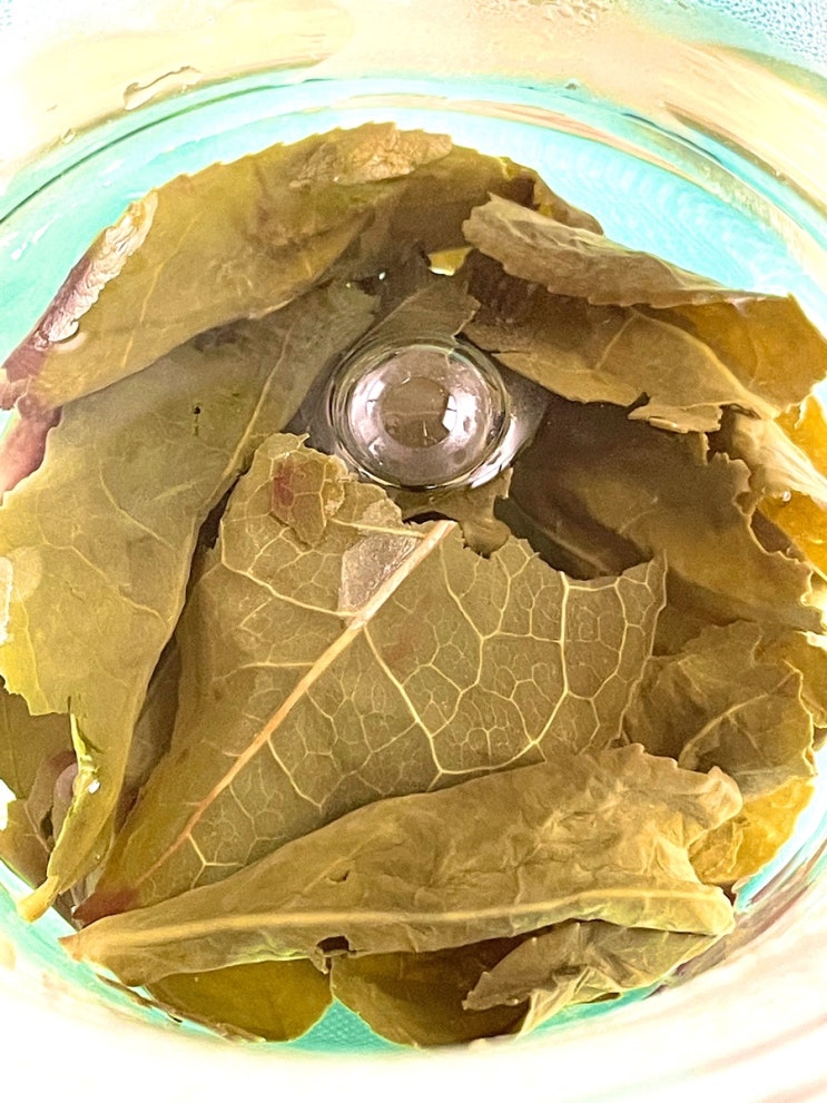  괜찮지 않아도 괜찮다