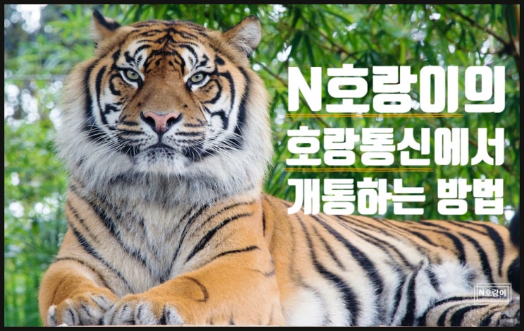 호랑통신 담당자 N호랑이 통하여 개통하기 호랑통신 담당자 N호랑이 통하여 개통하기