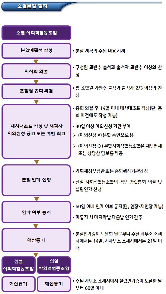 사회적협동조합 분할의 정의, 유형 및 효과