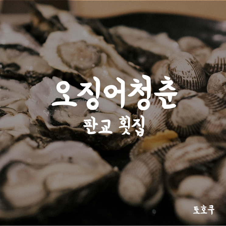  판교횟집: 오징어청춘 판교역점 (오정이어회+석화+꼬막)