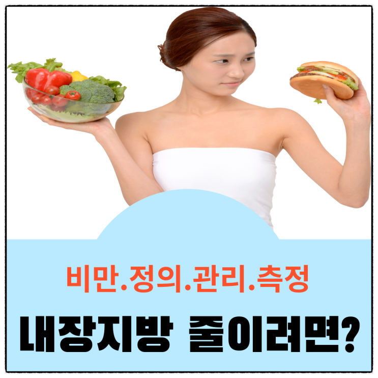  비만]복부비만 정의.관리.측정 및 다이어트 방법