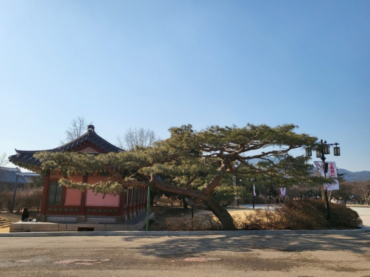  episode 19. Is that good news or bad news?(불행 또는 행운)