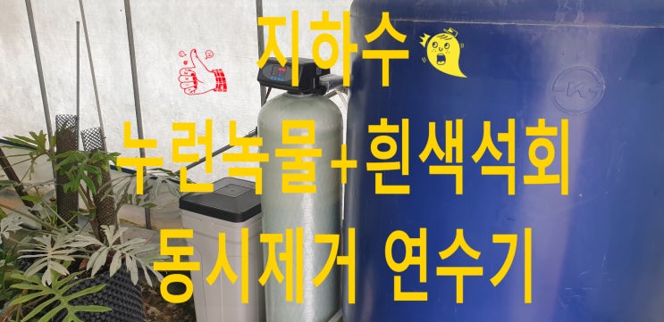 경기 광명 식물 분재, 지하수 녹물 + 지하수 흰색 석회 17배 초과 정수 외.