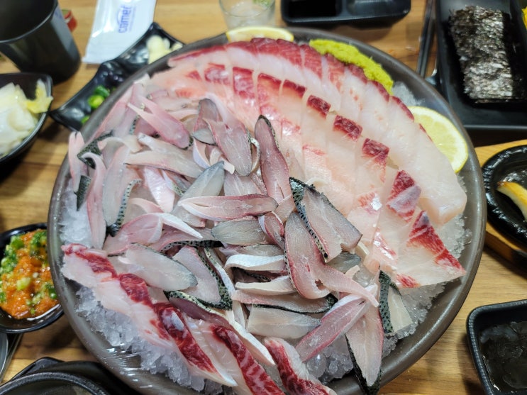 서울 광진구 건대입구역 구의역 사이 맛집 회 맛집 안주 맛집 바다회포차 서울 광진구 건대입구역 구의역 사이 맛집 회 맛집 안주 맛집 바다회포차
