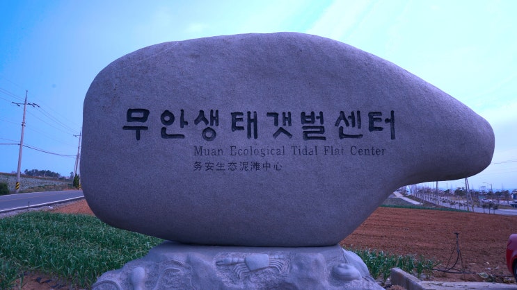 [무안 여행] 무안황토갯벌랜드 무안생태갯벌 과학관 갯벌 체험