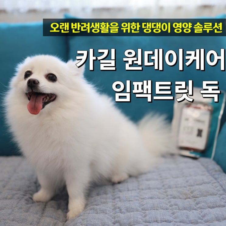  카길 원데이케어 임팩트릿 반려동물 기능성 영양제