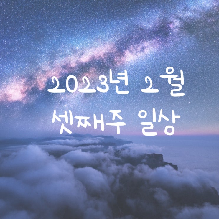 주간일상 (2/13~1/19) 2월 셋째주 일상